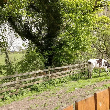 The Old Grainstore *